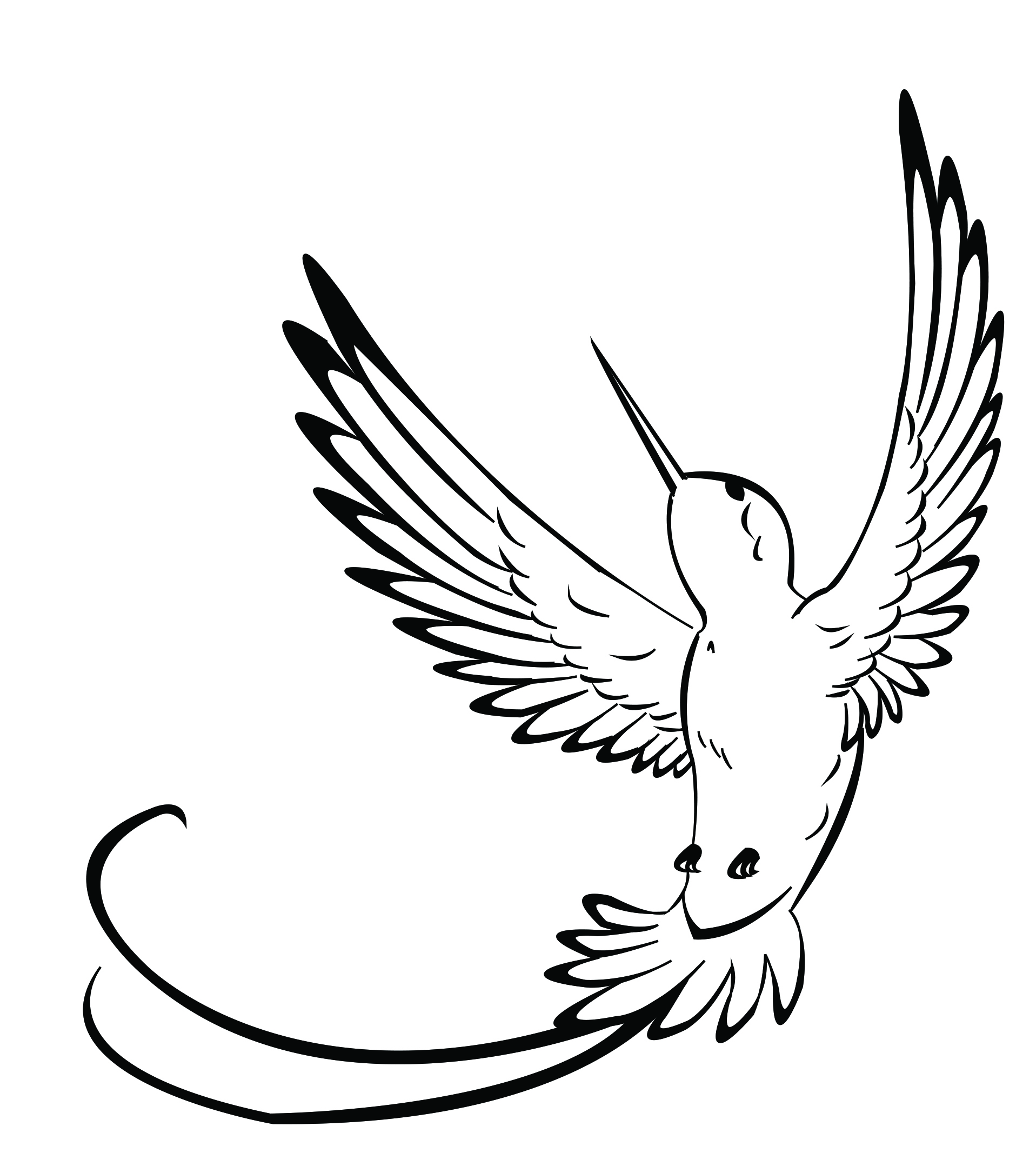 a graphic design process The Hummingbird The Hummingbird